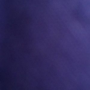 Meet your Posher, Latisha